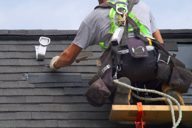 Best Roof Gutter Cleaning  in Woodsboro, MD